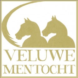 Afbeelding invoegen